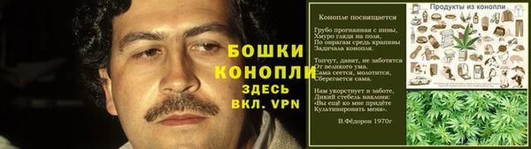 шишки Новозыбков