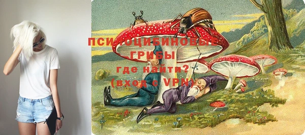 spice Новодвинск