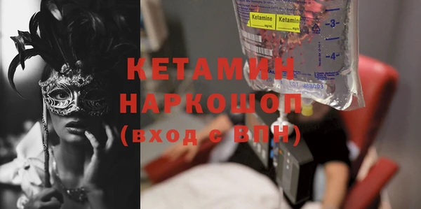шишки Новозыбков
