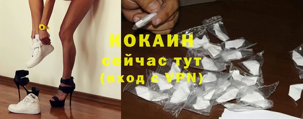 spice Новодвинск