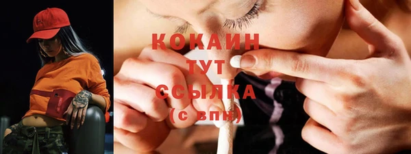 шишки Новозыбков
