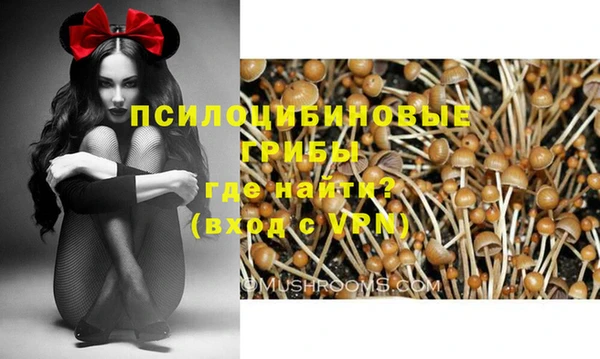 шишки Новозыбков