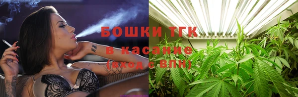 spice Новодвинск