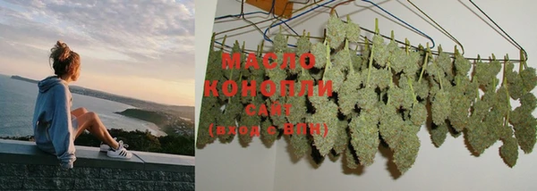 шишки Новозыбков