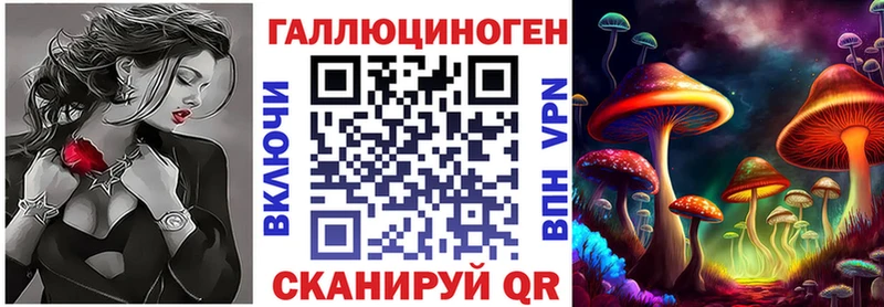 Галлюциногенные грибы Psilocybine cubensis Старица